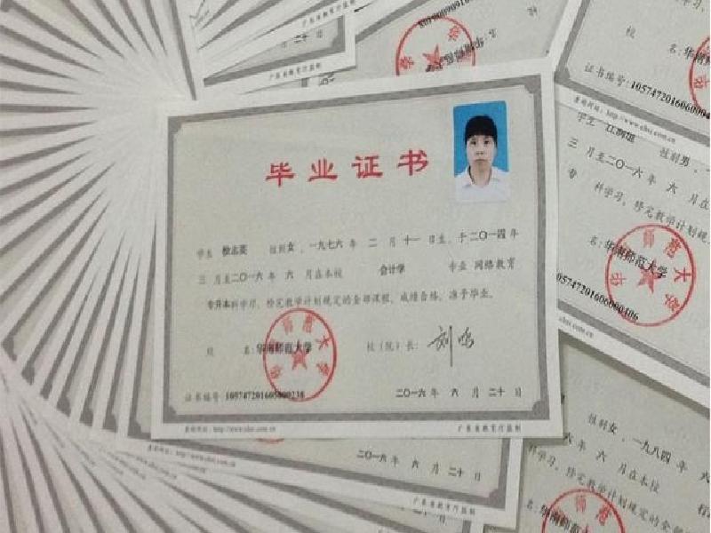 机构介绍