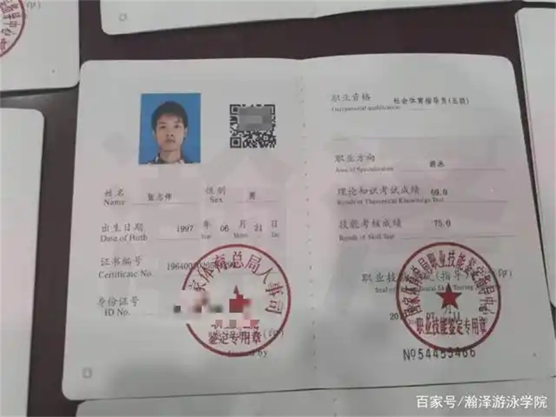 不同证件版式更新,制作时需要关注什么